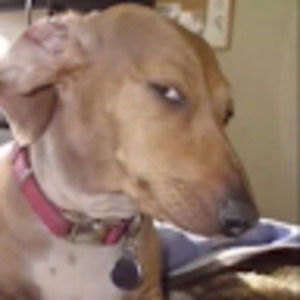 Meet your Posher, Jaymison